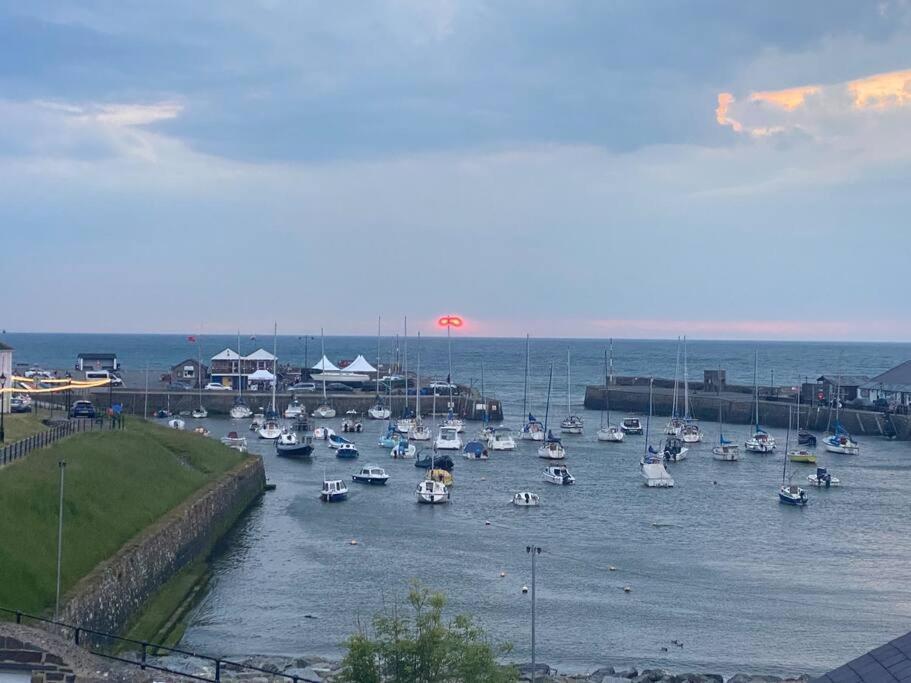 فيلا Aberaeron Island House - Panoramic Harbour Views المظهر الخارجي الصورة